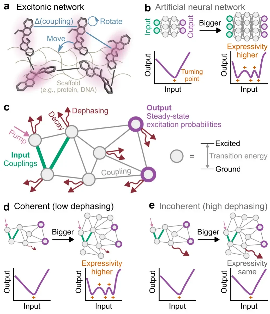 Driven, dissipative excitonic networks as a computational platform (Du et al., arXiv 2026).
